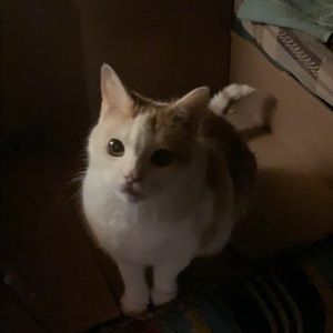 Meet your Posher, Christian